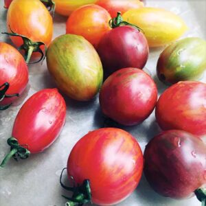 Preserving Tomatoes: A Primer Image
